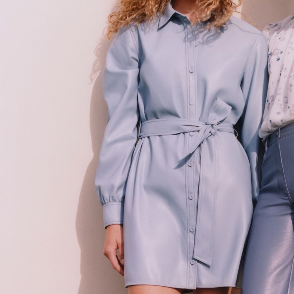 Aritzia Wilfred Caroline Blue Leather Shirt Dress